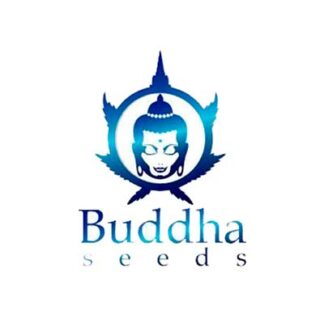 Buddha Seeds®
