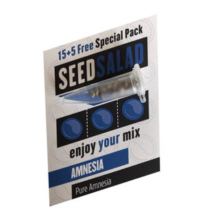 amnesia seed salad 20 semi