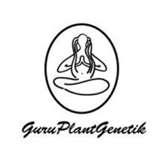 Guru Plant Genetik®