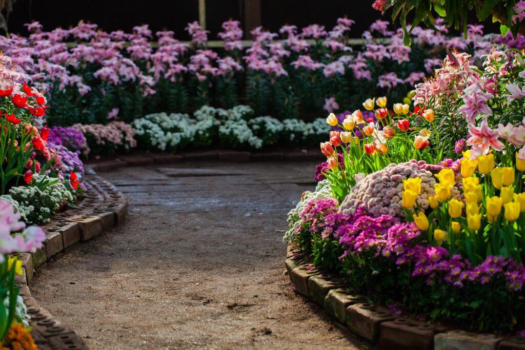 il giardino di grace prodotti di alta qualità per il giardinaggio hobby e professionale